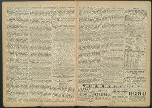 gazeta radomska-1885-34-00002